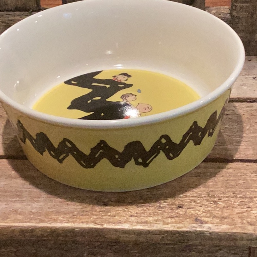 Peanuts Stoneware Pet Bowl - Picture 4 of 4